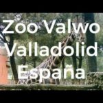 El zoo más grande de España