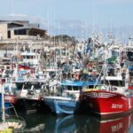 Puerto Pesquero más Importante de España