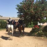 Ruta de caballo por el Camino de Santiago
